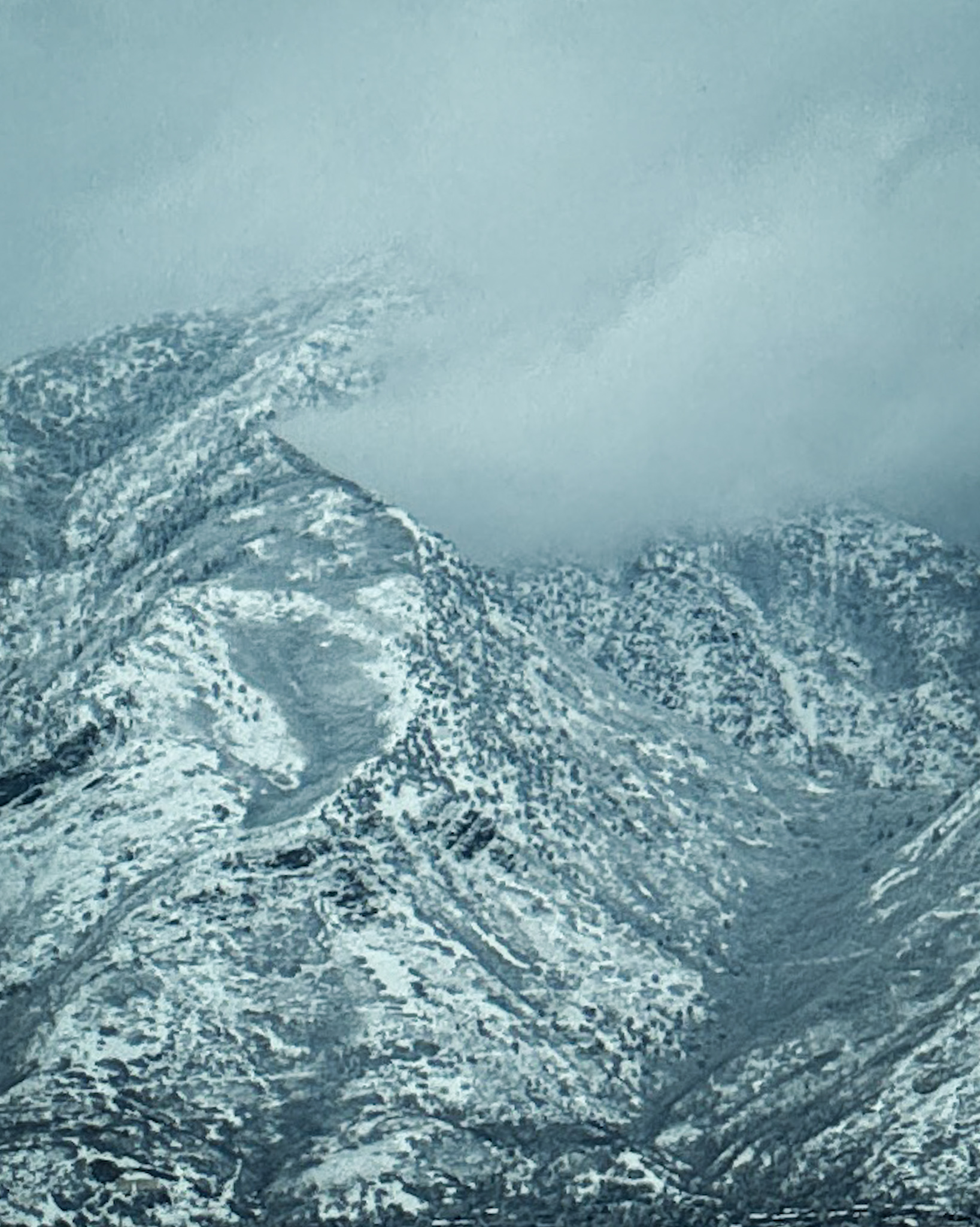 Professional event planning and guest experience